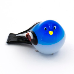 Uccello lucido medio